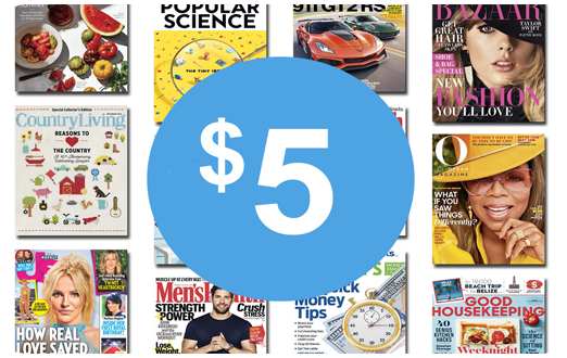 Blue Dolphin Magazines 10 USD