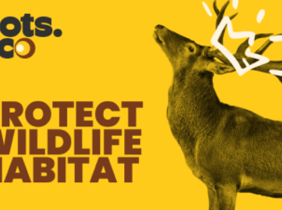 Protect wildlife habitat 1 USD