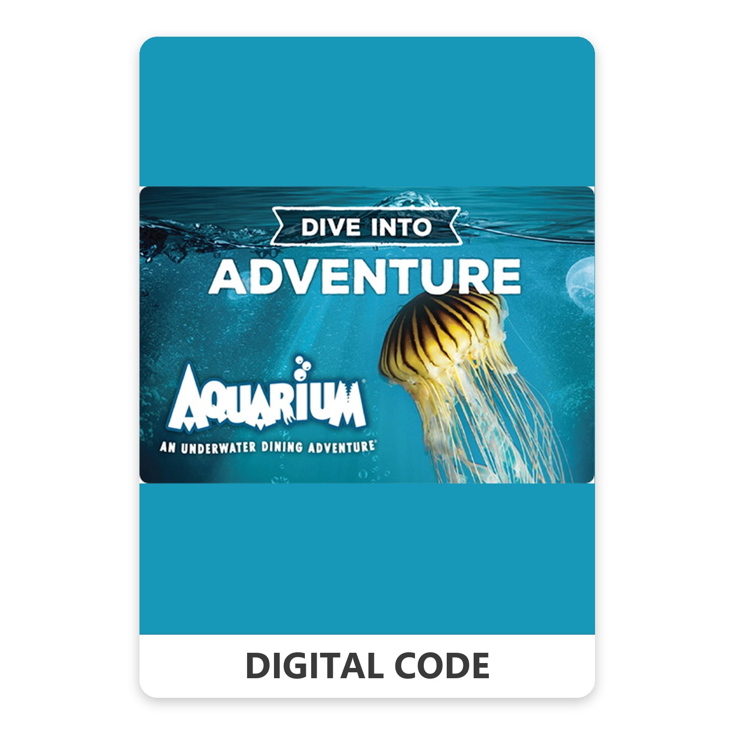 Aquarium Restaurants 10 – 500 USD