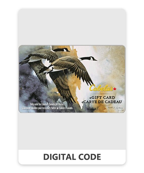 Cabela's 5 – 500 USD