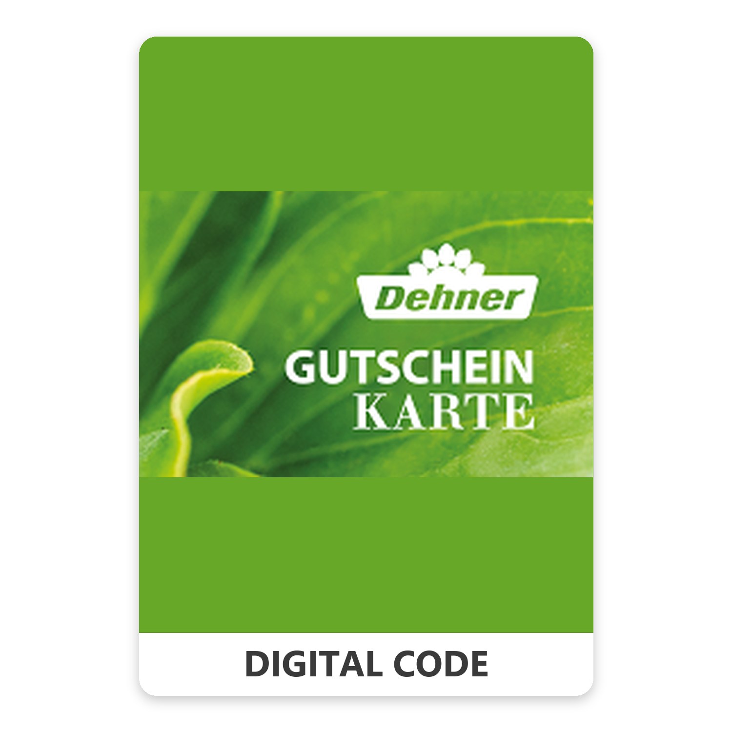 Dehner DE 5 EUR