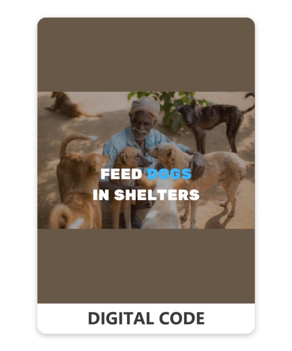 Feed stray dogs in shelters 10 USD