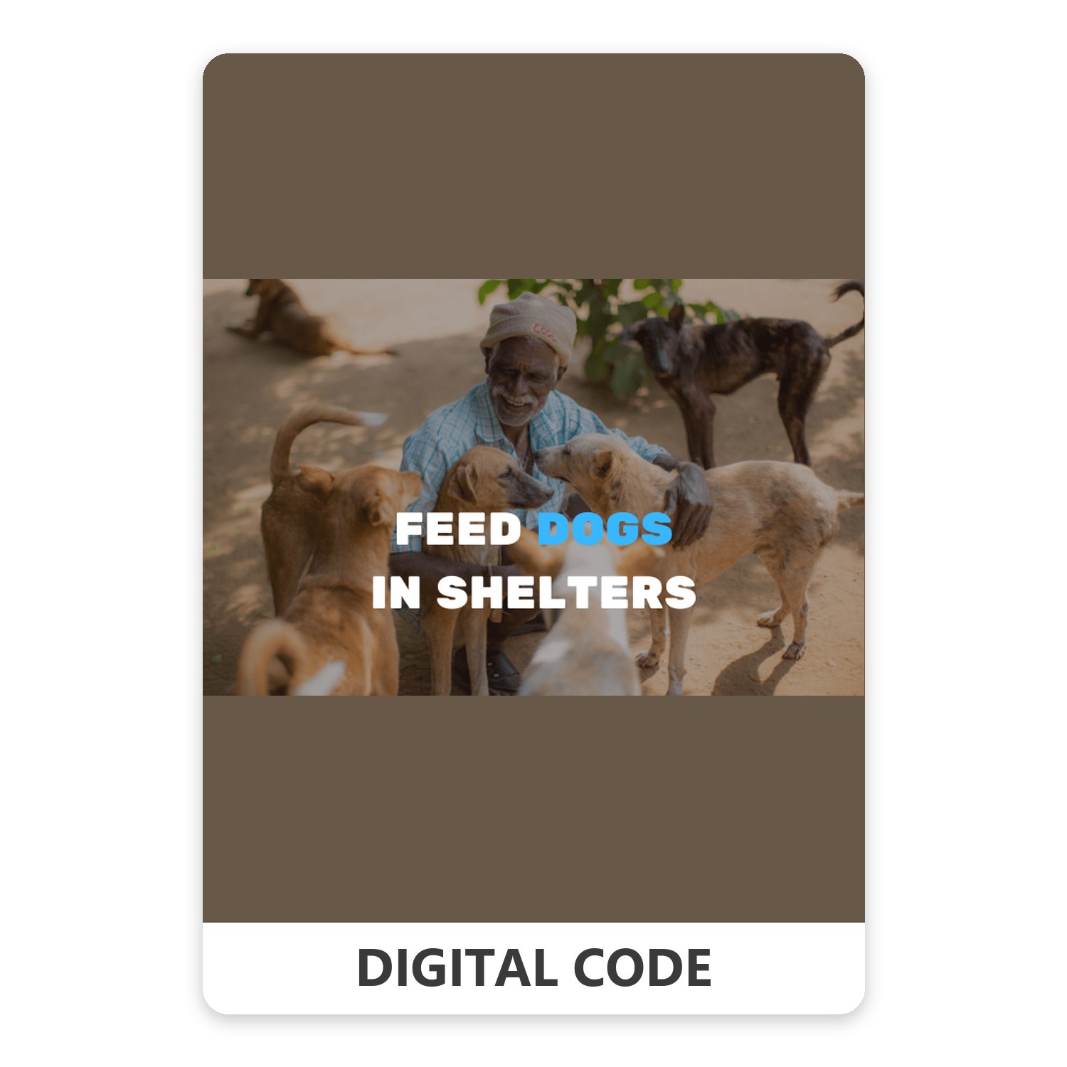 Feed stray dogs in shelters 25 USD
