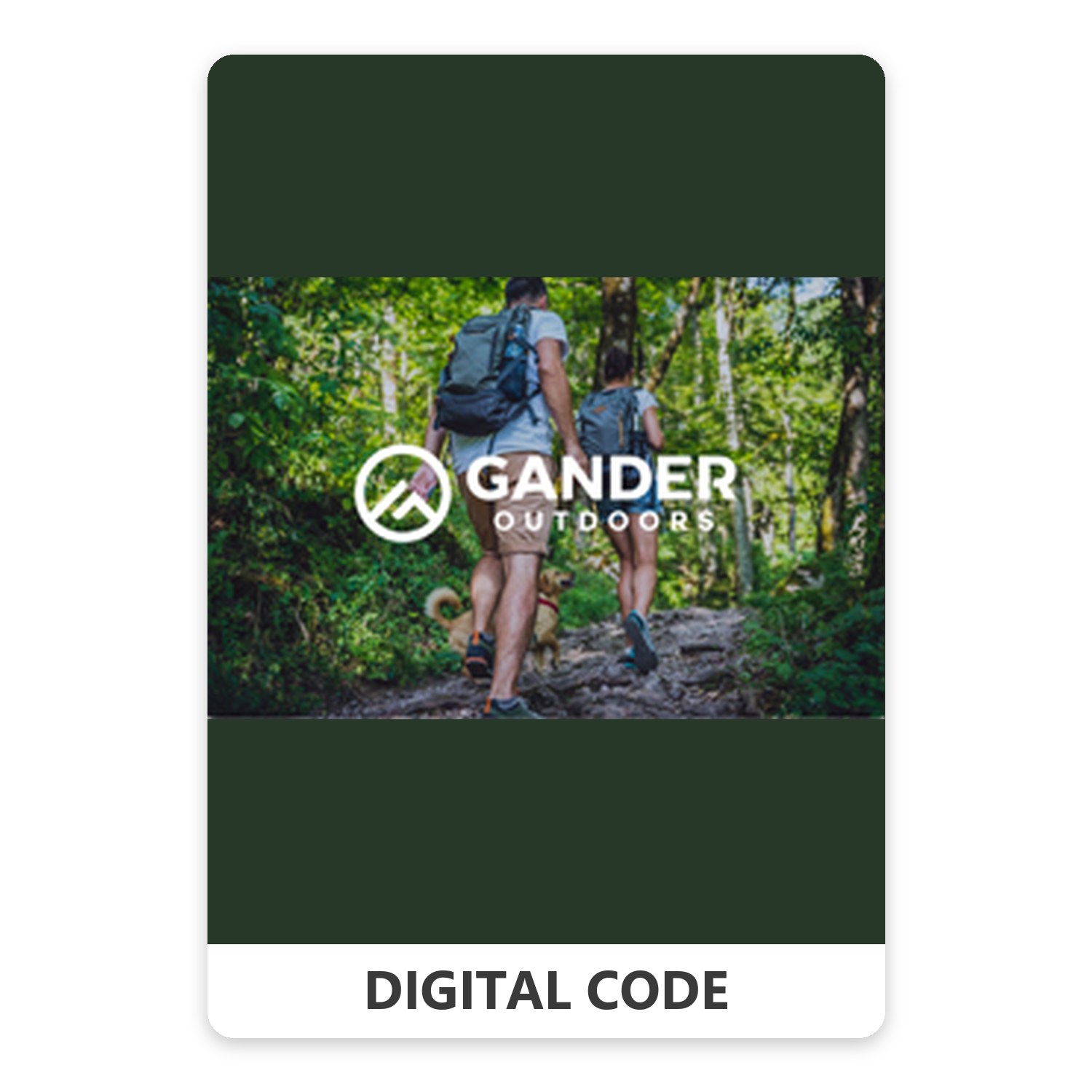 Gander Outdoors 5 – 500 USD