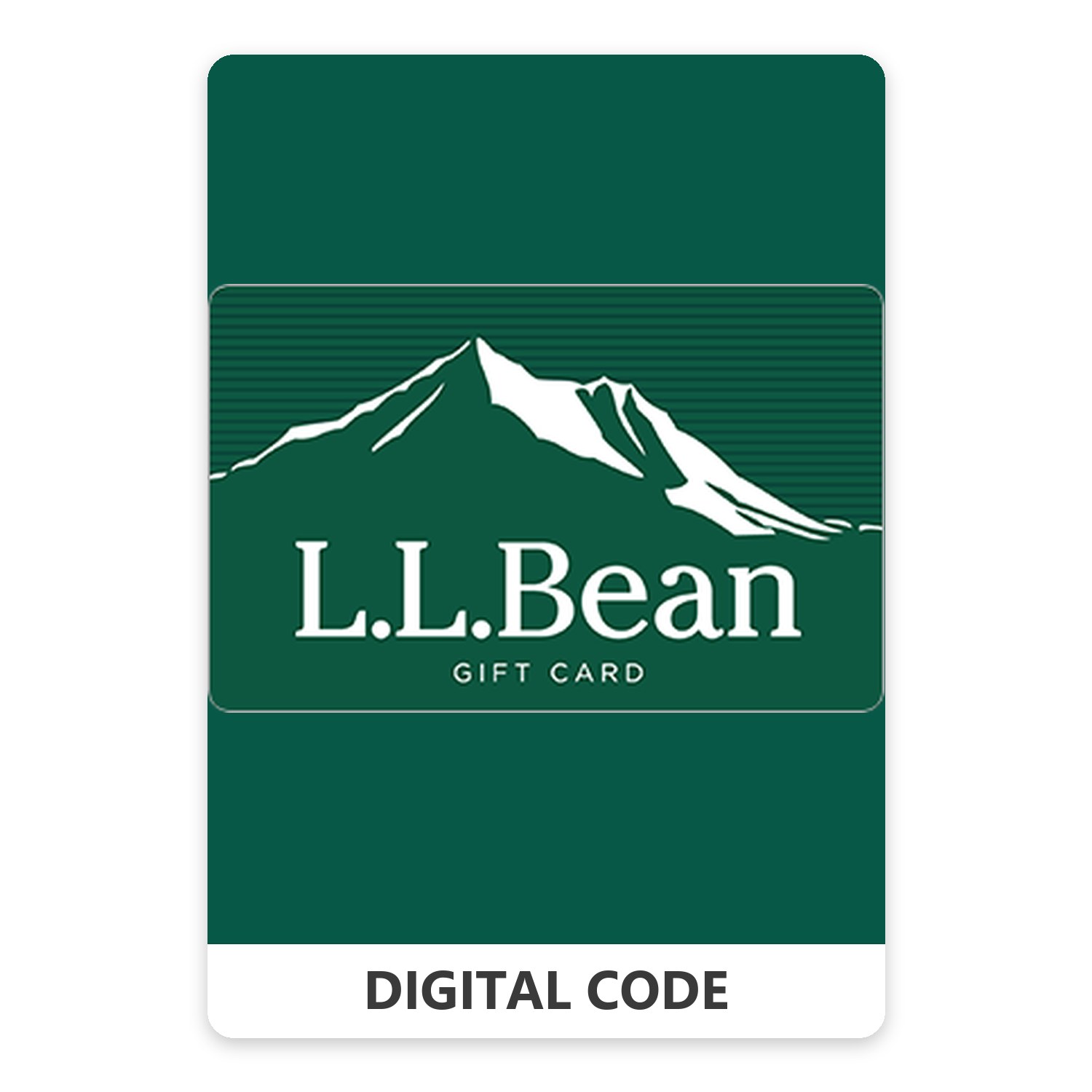 L.L. Bean 5 – 500 USD