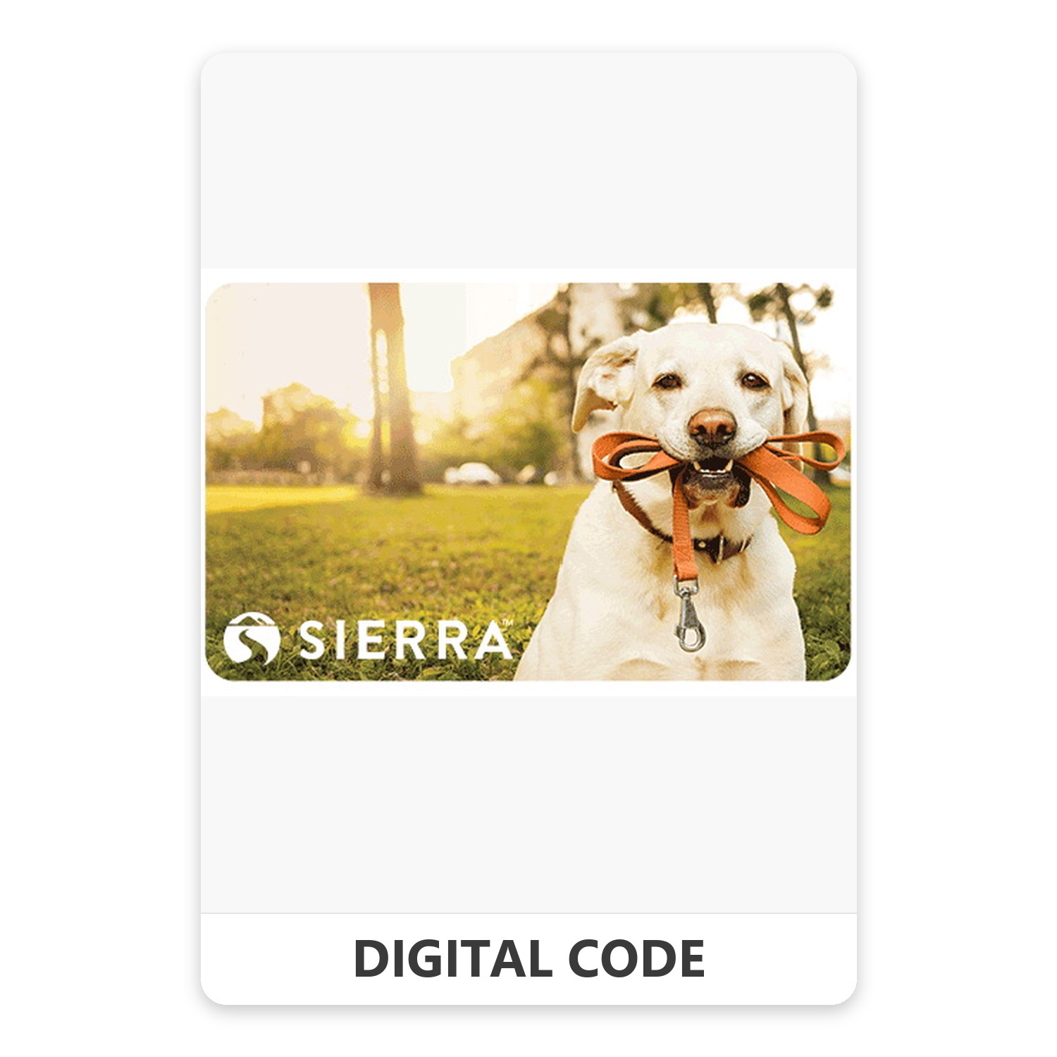 Sierra Trading Post 5 – 500 USD