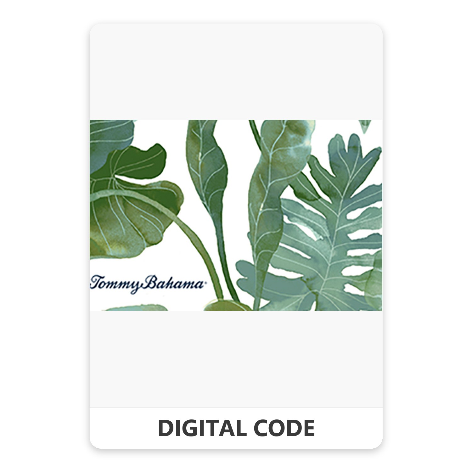 Tommy Bahama 15 – 500 USD